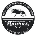 Taurus Amplification