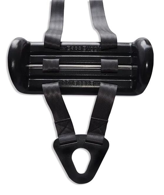 Hovedbilde RC Williams Company dbl Bass Buggie/Buggy