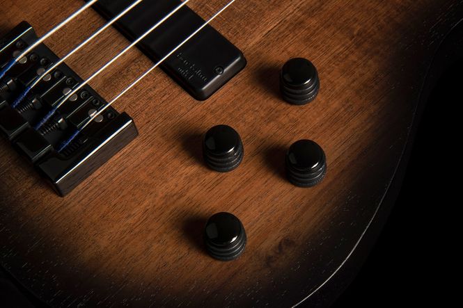 Hovedbilde Cort B4FL MHPZ Fretless