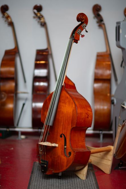 Hovedbilde David Gage Czech-Ease (C1)