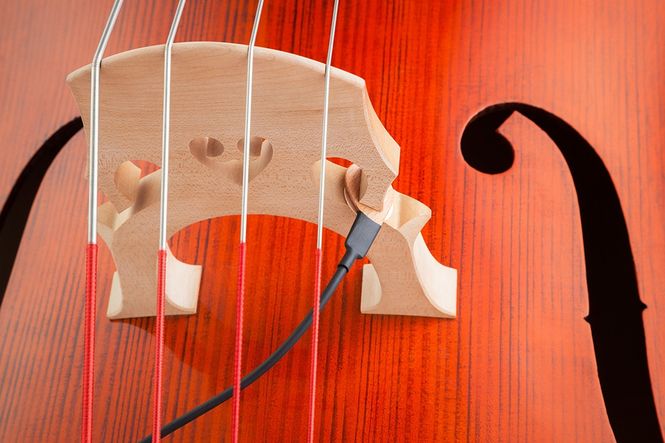 Hovedbilde KNA DB-1 Pickup (Double bass)